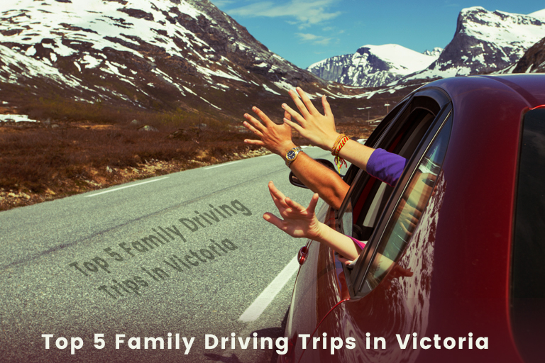 Top 5 Family Driving Trips in Victoria